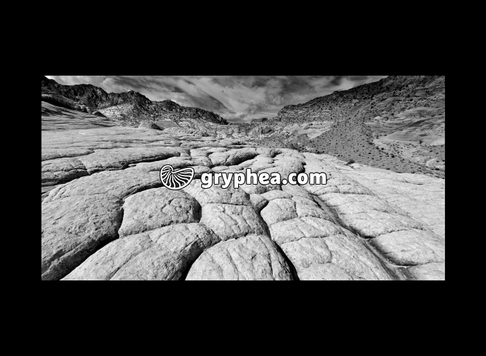 The Wave - Formations gréseuses (Utah, USA) NB - gryphea.com